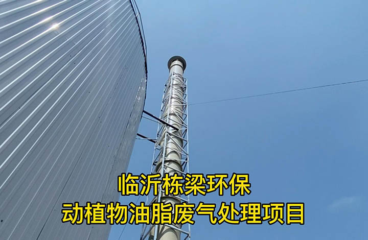 動植物油脂煉制廢氣處理設(shè)備現(xiàn)場 